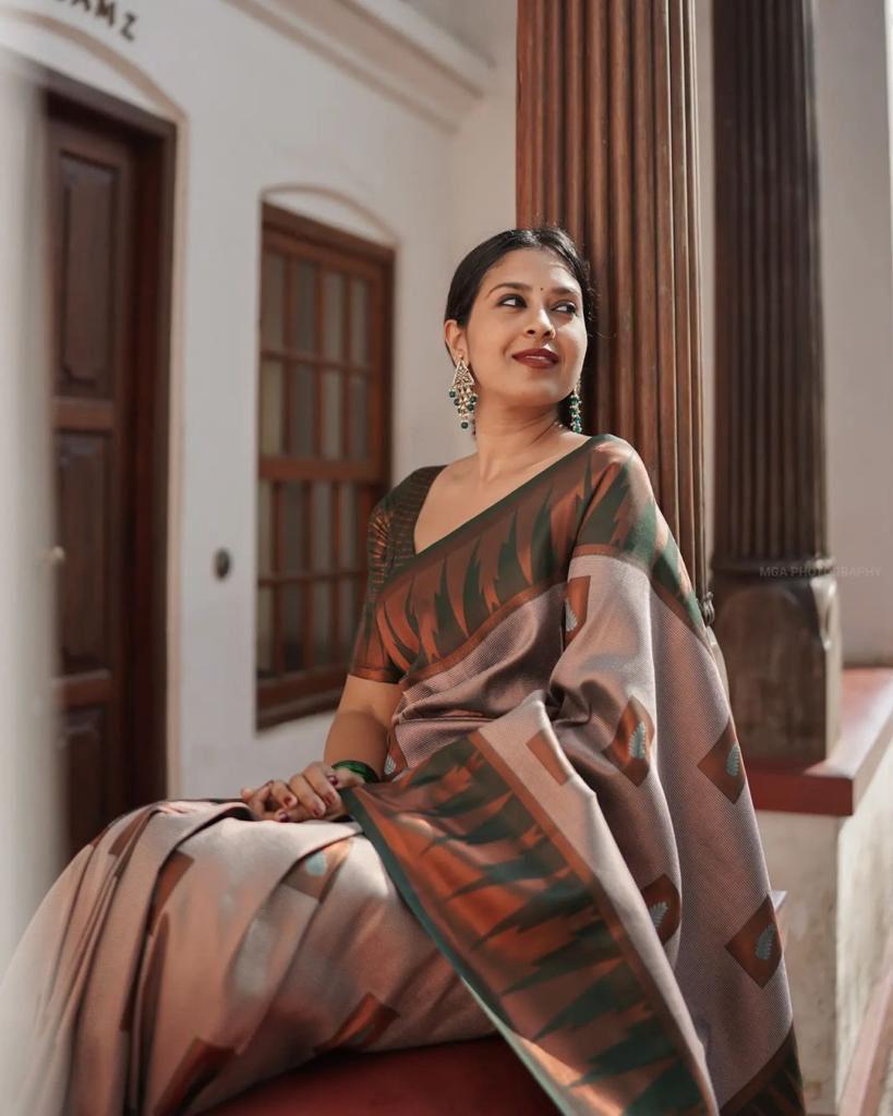 Unequalled Grey Banarasi Silk Saree With Most Traditional Blouse Piece