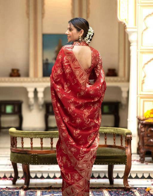 Eloquence Red Soft Silk Saree With A glam Blouse Piece