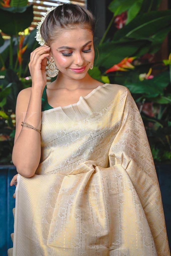 Demesne Beige Soft Banarasi Silk Saree With Demure Blouse Piece