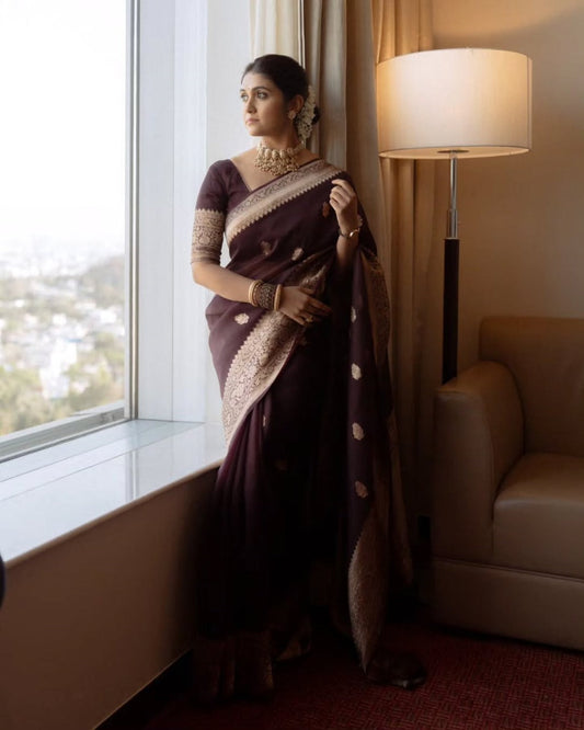Beautiful Wine Soft Silk Saree With Sizzling Blouse Piece
