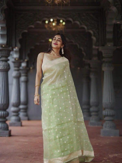 Nebula Pista Linen Silk Saree With Alluring Blouse Piece